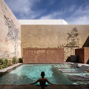 Ta De Diseno Queretaro